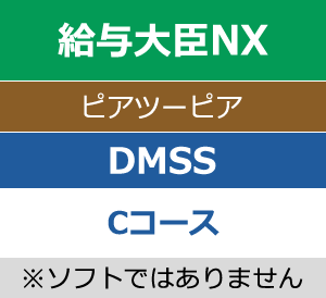 DMSS（保守サービス）Cコース
