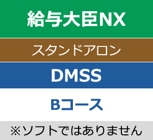 DMSS（保守サービス）Bコース