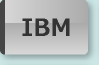 アイビーエム/IBM