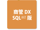 商管DX　SQL版