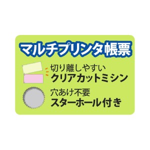 BP2013Z ヒサゴ マルチプリンタ帳票 A4 カラー 3面 6穴 - ミモザ