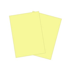 大王製紙ダイオーマルチカラーペーパーB4レモン61ML003B1セット（2500枚:500枚5冊） - www